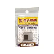 (2袋1包)雷鳥牌 強力磁鐵  12x12x厚2mm