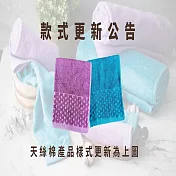 天絲棉浴巾 紫色