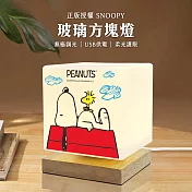 【正版授權】SNOOPY 柔光玻璃方塊LED夜燈 氣氛燈 閱讀燈 USB供電- 經典紅屋