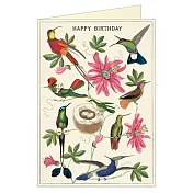 美國 Cavallini & Co. Greeting Cards 卡片/生日卡 蜂鳥