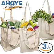 【Ahoye】帆布購物袋 (36*31cm-三入組) 手提袋 帆布袋 環保袋