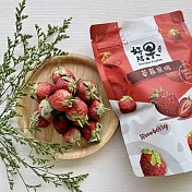 【好結果】草莓果脆(20g)