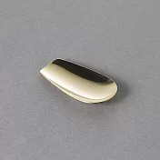 【日本青芳製作所】不鏽鋼 茶葉匙 ‧ 香檳金