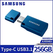 【SAMSUNG 三星】Type-C 256GB USB3.1隨身碟(MUF-256DA/APC)公司貨