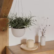 KINTO / PLANT POT盆栽吊籃 17.4cm- 米色