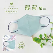 天心 立體3D 成人醫療口罩10入/包-莫蘭迪薄荷