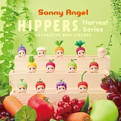 Sonny Angel Hippers 守護天使田園系列盒玩公仔 (單入隨機款)