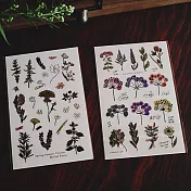 【什物 a kind of café】花草轉印貼紙組 | 春夏草花