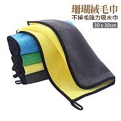 珊瑚絨毛巾 不掉毛強力吸水洗車巾 抹布 (小號/2入)30x30cm