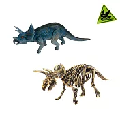 【德國Moses】小小考古-發現恐龍2合1 三角龍