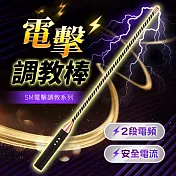 SM情趣｜電擊調教棒