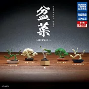 【日本正版授權】全套5款 盆菜 扭蛋/轉蛋 植物/蔬菜/青菜/迷你盆栽/迷你花椰菜/迷你白蘆筍 067600