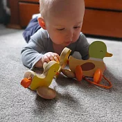 【德國 classic world 客來喜經典木玩】手拉搖擺小鴨鴨《10513》