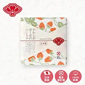 【日纖】日本泉州純棉方巾30x30cm- 鮮莓綠園