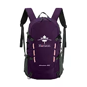 【Horizon 天際線】終極版 冒險家登山後背包 Adventurer 40L|腰扣、胸扣、防雨罩、側袋 (多色任選) 羅蘭紫