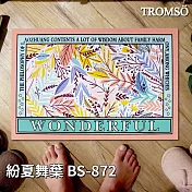 TROMSO軟式珪藻土科技絨舒柔吸水地墊 紛夏舞葉BS-872
