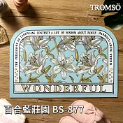 TROMSO軟式珪藻土科技絨舒柔吸水地墊 百合藍莊園BS-877