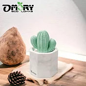 【OMORY】多肉植物盆栽造型擴香石- 大理石
