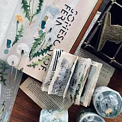 【 羊君 somesortof.fern 】 蒲雪 Dandelion｜PET膠帶