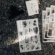 【 羊君 somesortof.fern 】 綠｜轉印貼紙