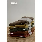 【sanaxillu】襪襪襪 | 05 rust