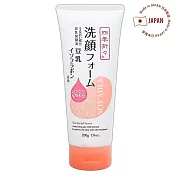 日本熊野 豆乳美肌洗面乳200g