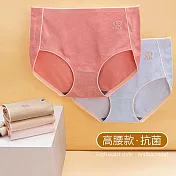 【Missking 1983】清新無痕高腰石墨烯抗菌內褲 (40-50公斤體型三件組)