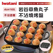 【Iwatani巖谷】新章魚丸子不沾章魚燒烤盤-16孔(CB-A-TKP)