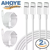 【Ahoye】100W5A Type C to Type C充電線 (2米-兩入組) PD快充 傳輸線