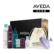 AVEDA 新春經典組(贈品最短效期至2025/10/31)