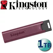 Kingston 金士頓 1TB 1000MB/s DataTraveler MAX Type-A USB3.2 Gen2 隨身碟 DTMAXA/1TB