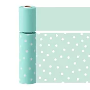 【日本Mark’s】水性筆可寫紙膠帶Slim二入組 ‧ 點點/薄荷