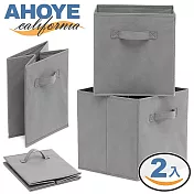 【AHOYE】無紡布折疊收納箱 (28x28x28cm-二入組)