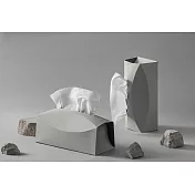 TaG-Tent Acme 極.美秒換面紙盒〖環保皮革版〗 月球灰