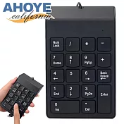 【AHOYE】輕薄好按有線數字鍵盤 (小鍵盤)