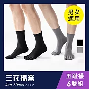 【SunFlower三花】三花五趾健康襪(襪子/短襪)6雙組_ 黑3中灰3