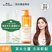 【全新上市】PHYTO DERMA 朵蔓 草本去屑生薑洗髮精 490ml