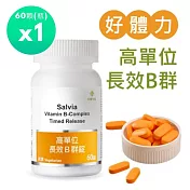 【佳醫】Salvia高單位長效B群錠(純素)1瓶共60顆