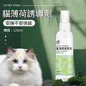 【道力其】寵物用品 貓薄荷誘導劑 貓草噴霧 120ml