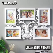 TROMSO北歐麋鹿5框組