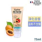 法國黎之芙去角質潔顏乳含杏核粉末75ml-效期2028/03/01