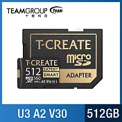 TEAM 十銓 EXPERT S.M.A.R.T. Micro SDXC 記憶卡 512GB (U3 V30 A2) R/W: 170/160MB/sec 黑金