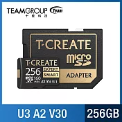 TEAM 十銓 EXPERT S.M.A.R.T. Micro SDXC 記憶卡 256GB (U3 V30 A2) R/W: 170/160MB/sec  黑金