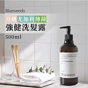 【Blueseeds】S2月桃尤加利葉薄荷強健精油洗髮露500ml