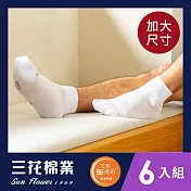 【SunFlower三花】三花加大襪無痕肌1/2男女適用襪.大尺碼襪(6雙組) 白