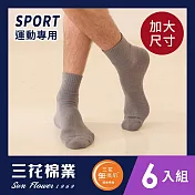 【SunFlower三花】三花加大襪無痕肌1/2運動襪.大尺碼襪(6雙組) 中灰