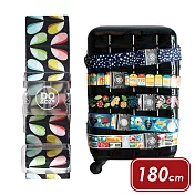 《DQ&CO》行李束帶 | 行李箱固定帶 扣帶 束帶 綑綁帶 旅行箱帶