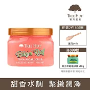 【TREE HUT樹上小屋】乳木果蜜糖身體磨砂膏510g (比基尼珊瑚)