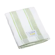 【日本HAYASHI】土耳其愛琴海棉 條紋甘撚純棉手巾 ‧ GREEN