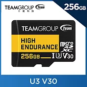 十銓 TEAM High Endurance UHS-I U3 V30 256G 4K 監控專用記憶卡